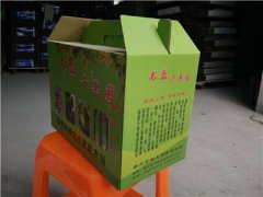 彩箱
